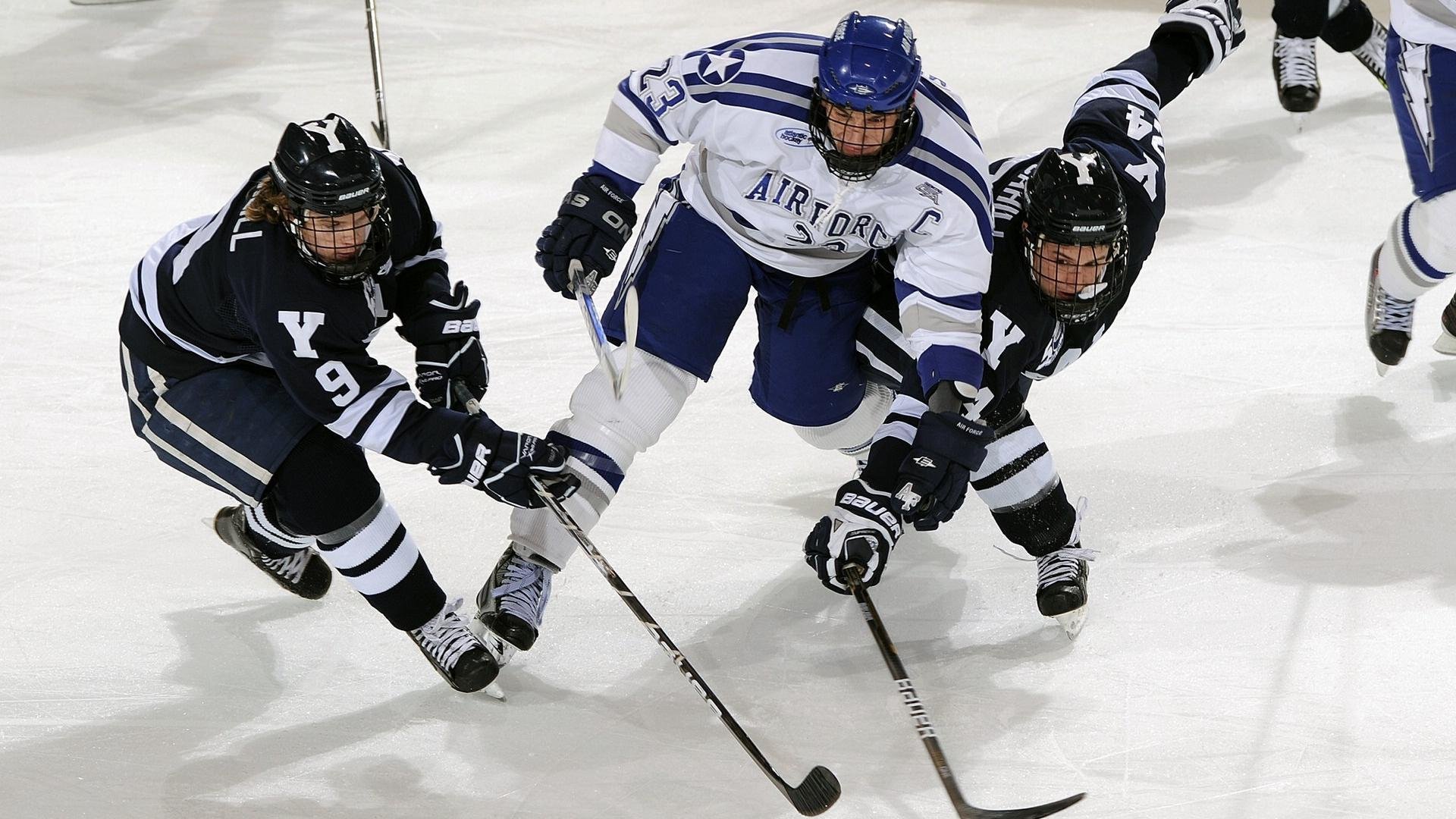 星空体育app体验棒-“智慧青训+产业创新”引领行业科技革新,行业新生态逐步形成,智慧产业链