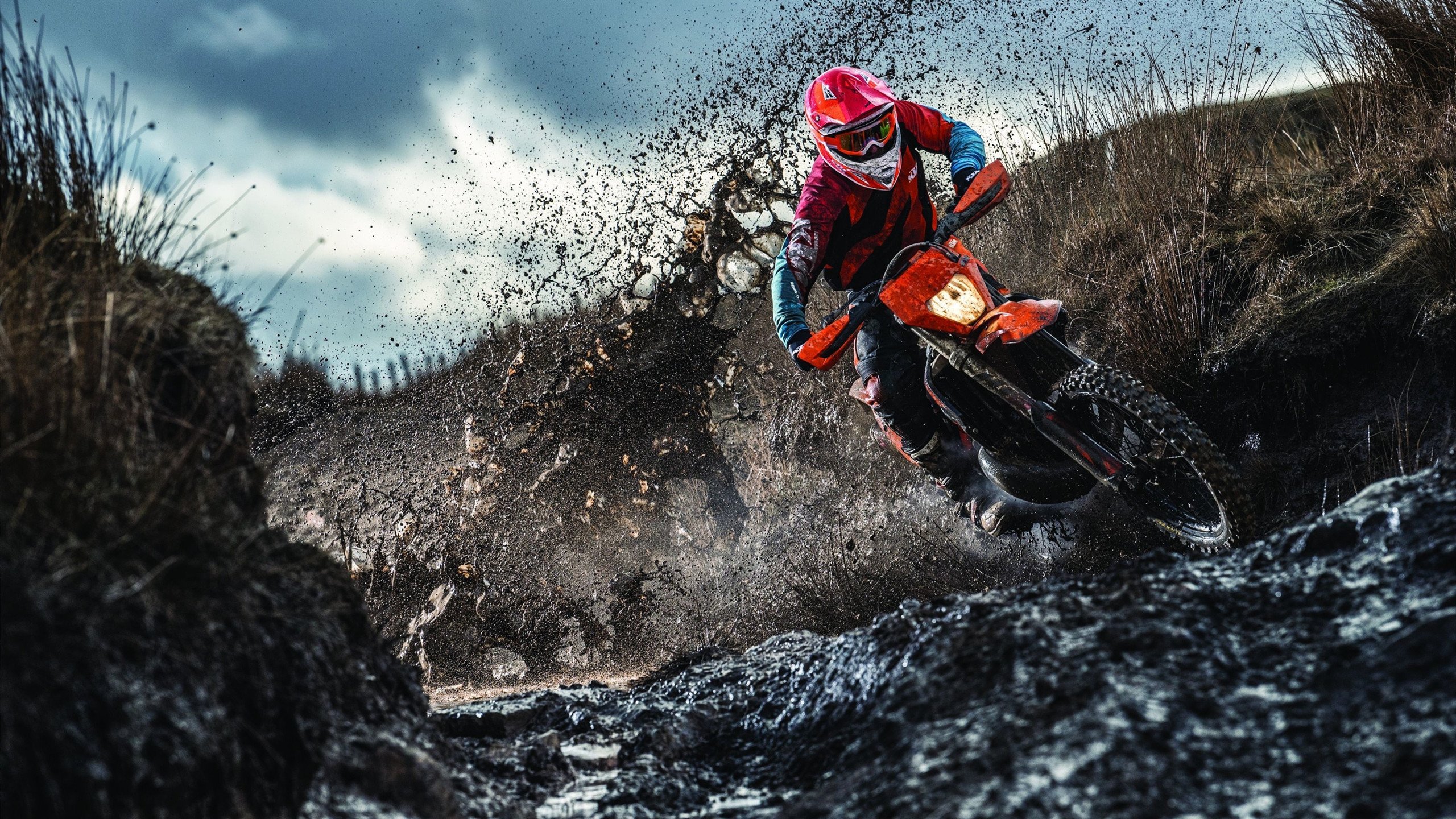 星空体育入口-自由搏击联赛:拳拳到肉的激烈较量,自由搏击视频比赛视频完整版